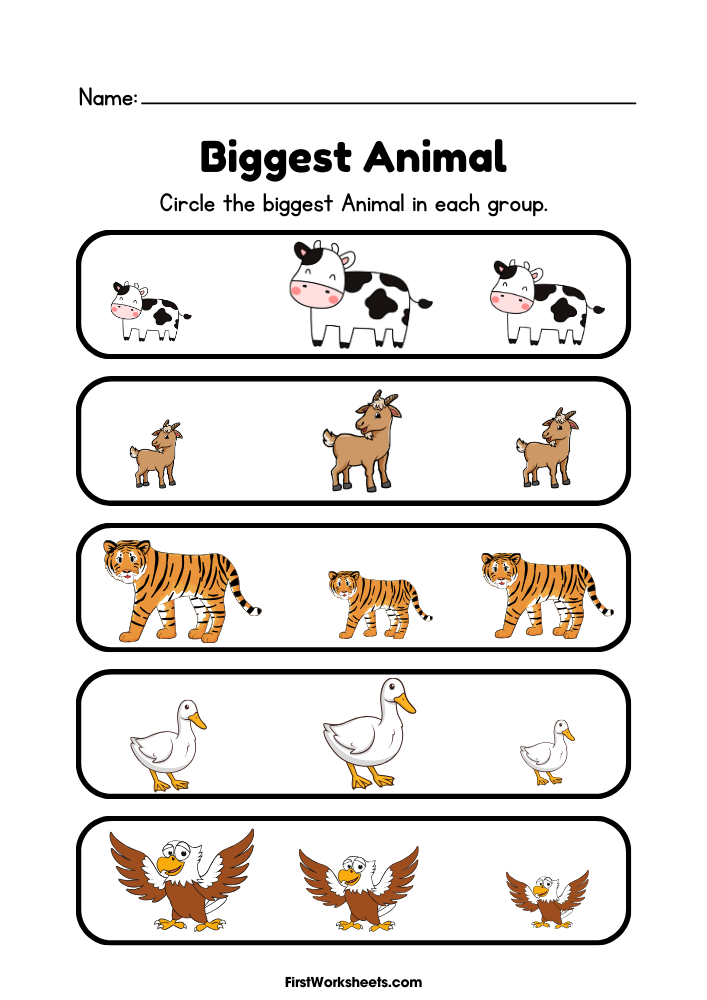 Big Bigger Biggest Worksheets | FirstWorksheets